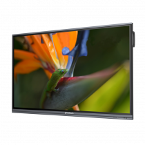 Интерактивный программно-аппаратный комплекс Geckotouch Interactive Pro IP75HT-E в комплекте с настенным креплением - «globural.ru» - Тюмень
