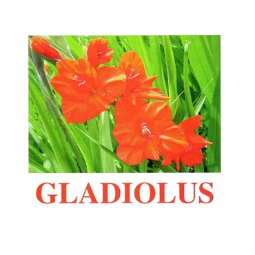 "Flowers-1" ("Цветы-1") английские карточки Домана - «globural.ru» - Тюмень