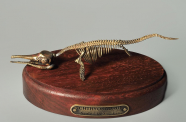 Модель скелета ихтиозавра Ichthyosaurus - «globural.ru» - Тюмень