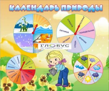 Стенд "Календарь природы" (вариант 1) - «globural.ru» - Тюмень
