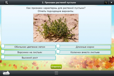 Интерактивные курсы. Окружающий мир 3 класс. Базовый - «globural.ru» - Тюмень
