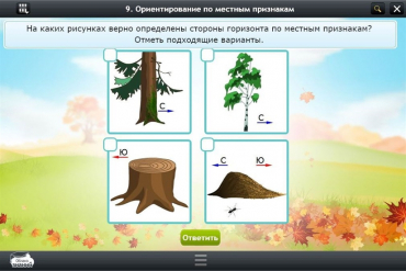 Интерактивные курсы. Окружающий мир 1 класс. Базовый - «globural.ru» - Тюмень