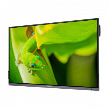 Интерактивный программно-аппаратный комплекс Geckotouch Interactive IP75GT-C в комплекте с настенным креплением - «globural.ru» - Тюмень