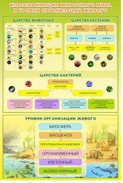 Стенд "Классификация животного мира" - «globural.ru» - Тюмень